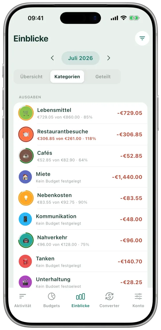 Expense-Hunter-Kategoriestatistik mit Budgetfortschritt pro Kategorie und Unterkategorien